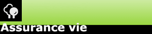 Section assurance vie du site